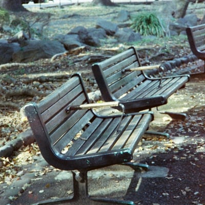 芝公園 20250327