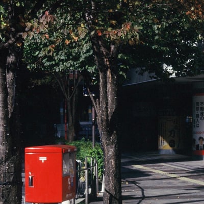 有楽町 20241126
