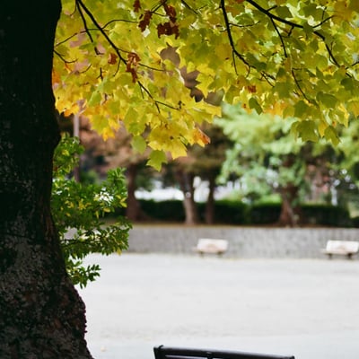 芝公園 20251118