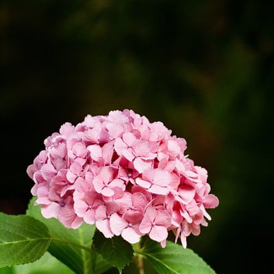 芝公園 20230627