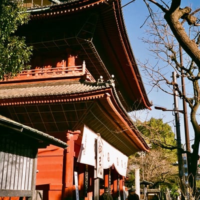 増上寺 20240125