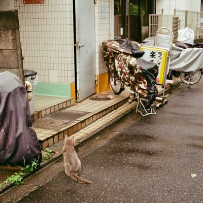 田町 20221014