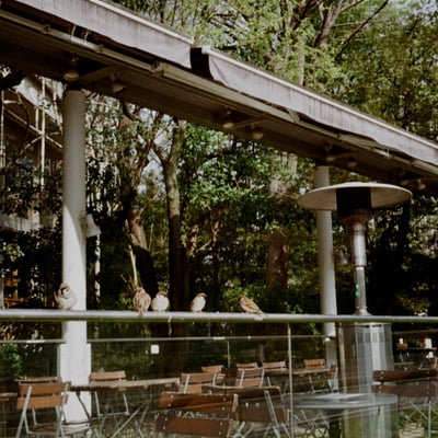 芝公園 20250408