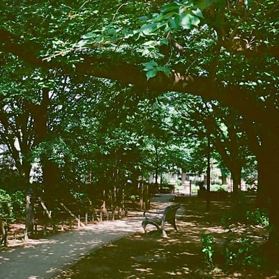 練馬 20240704