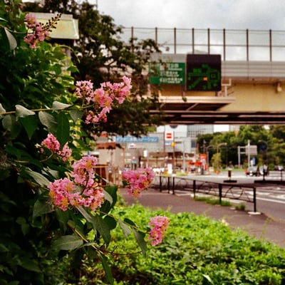 赤羽橋 20220903