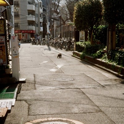 東十条 20250323