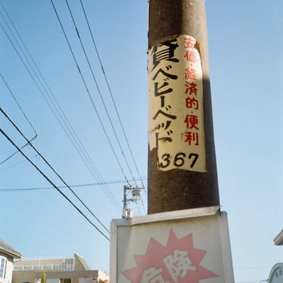 一橋学園 20241117