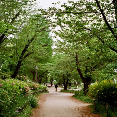 芝公園 20250422