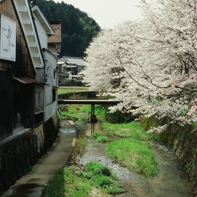 春の酒蔵