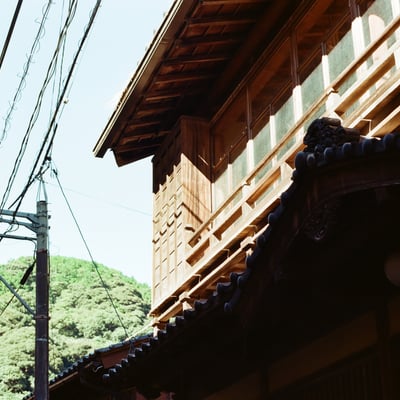 朝の光
