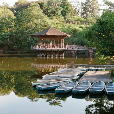 早朝、奈良公園