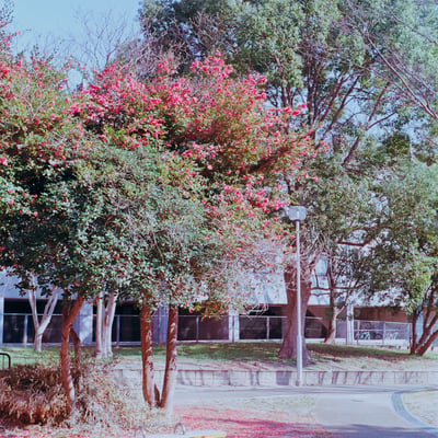 a scenery