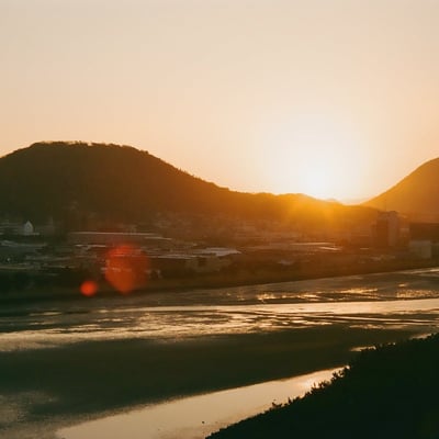 filmで綴る:朝のヒカリ️☀️.°
