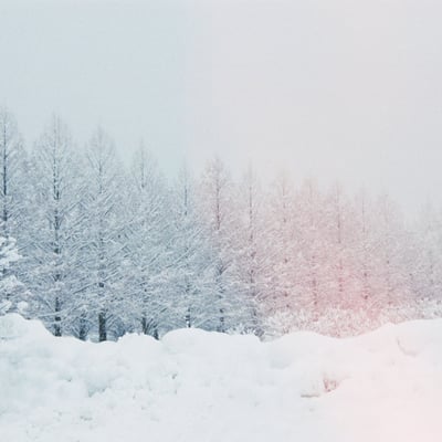 filmで綴る:大寒❄️.*˚
