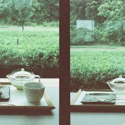 filmで綴る:いただきます…ごちそうさまでした🍵🌱