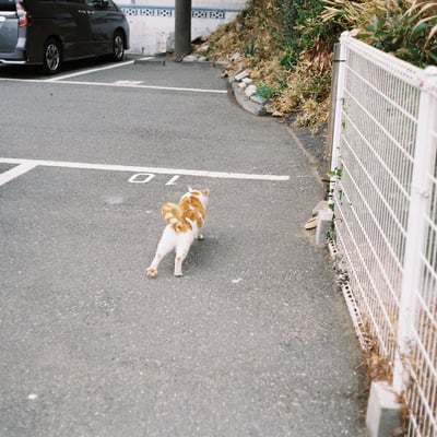 城ヶ島にて