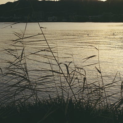 琵琶湖