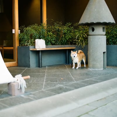 長野