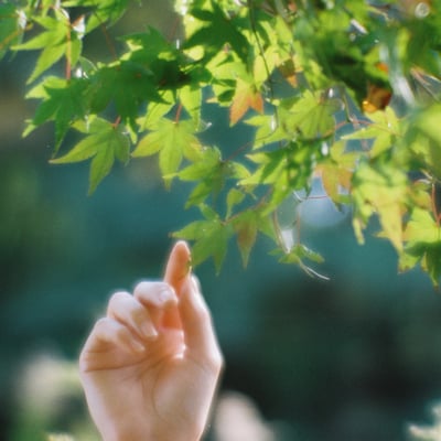 Touch