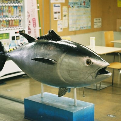 フライングツナ