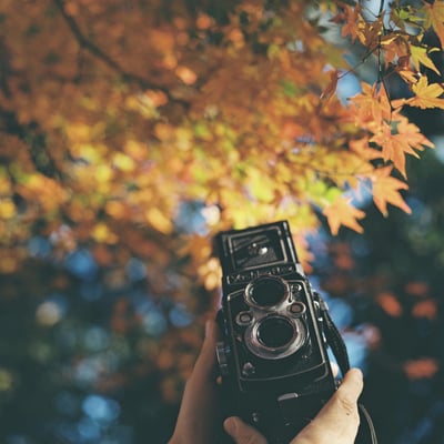 フィルムが似合う季節