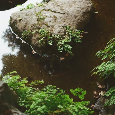 清澄庭園
