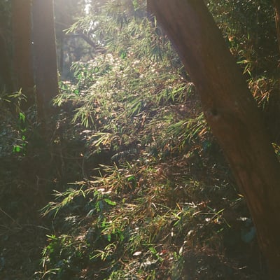 北高尾山陵