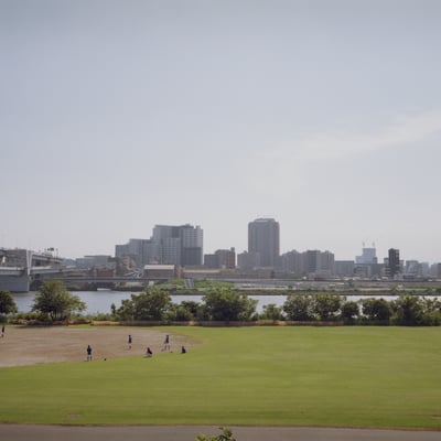 いつかの夏の日