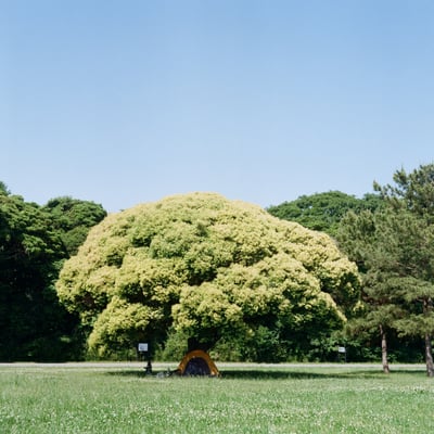 初夏の公園