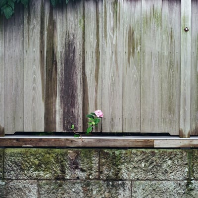写真は引き算