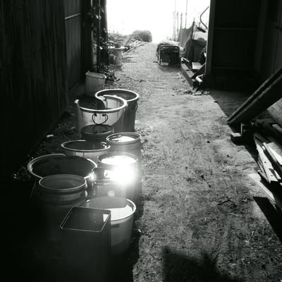 路地裏の太陽