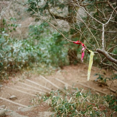 道標