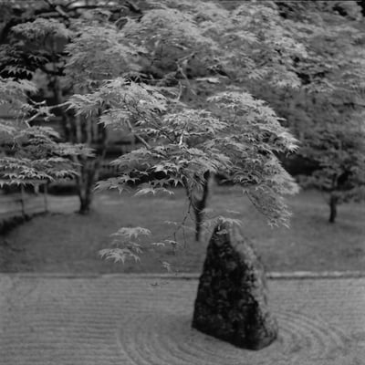 石庭