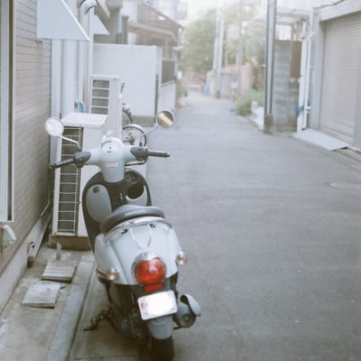 冬の光