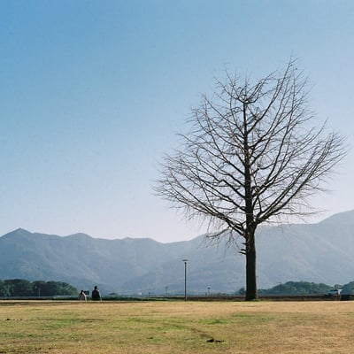 冬の空