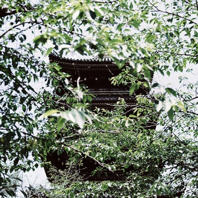 上野の五重塔