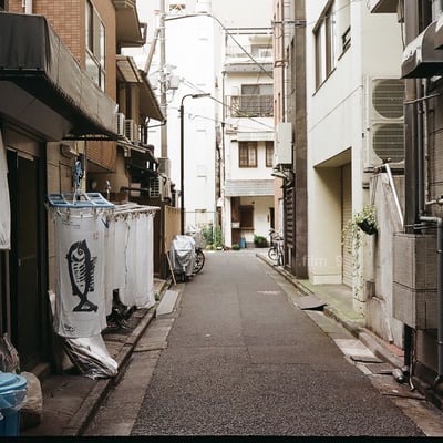 路地裏を泳ぐ