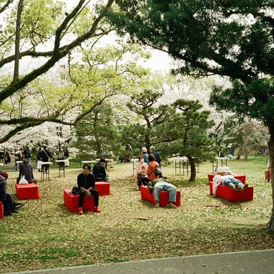 舞鶴公園　さくらまつり