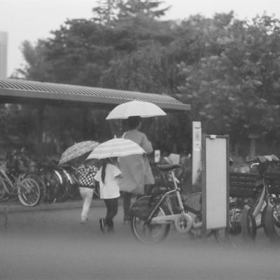 梅雨のおでかけ
