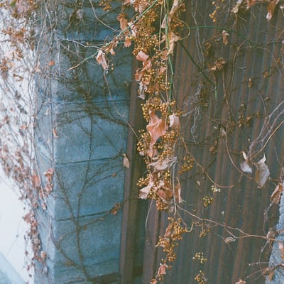 rust
