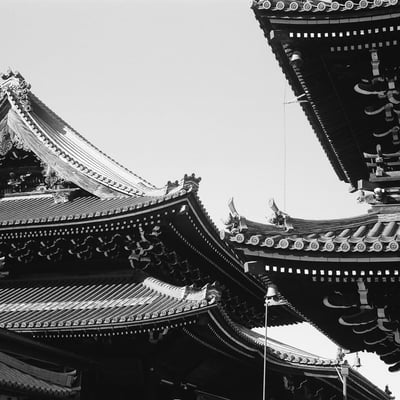 見上げれば...