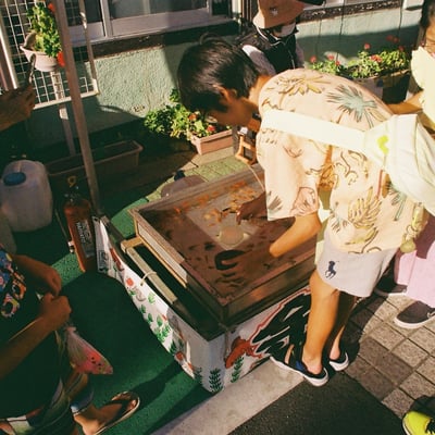 金魚とったるで