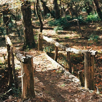 木橋