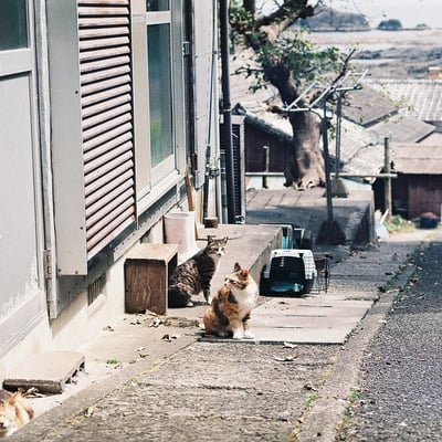 坂の途中