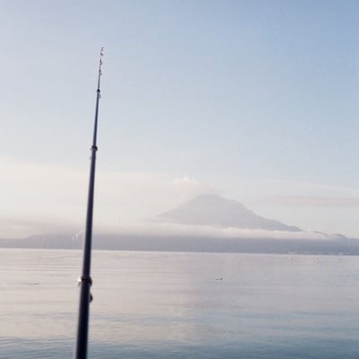 朝釣り
