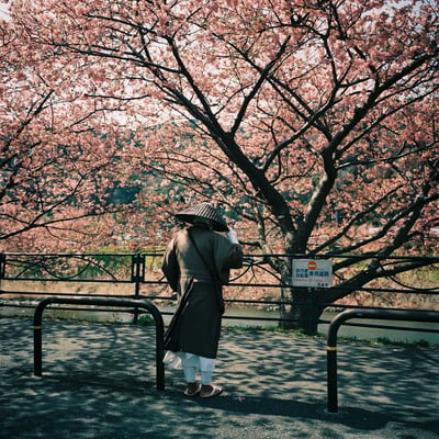 春を待つ