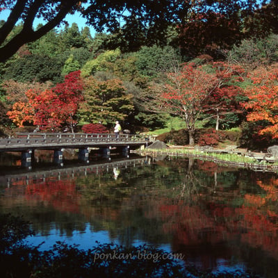日本庭園