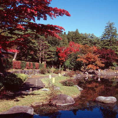 池のほとり
