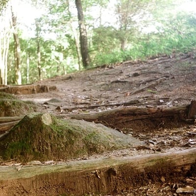 登山道
