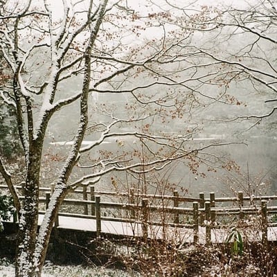 雪